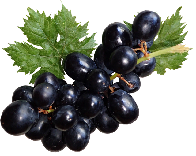 Resveratrol for Herbal Naturopathy properties, benefits, uses, side