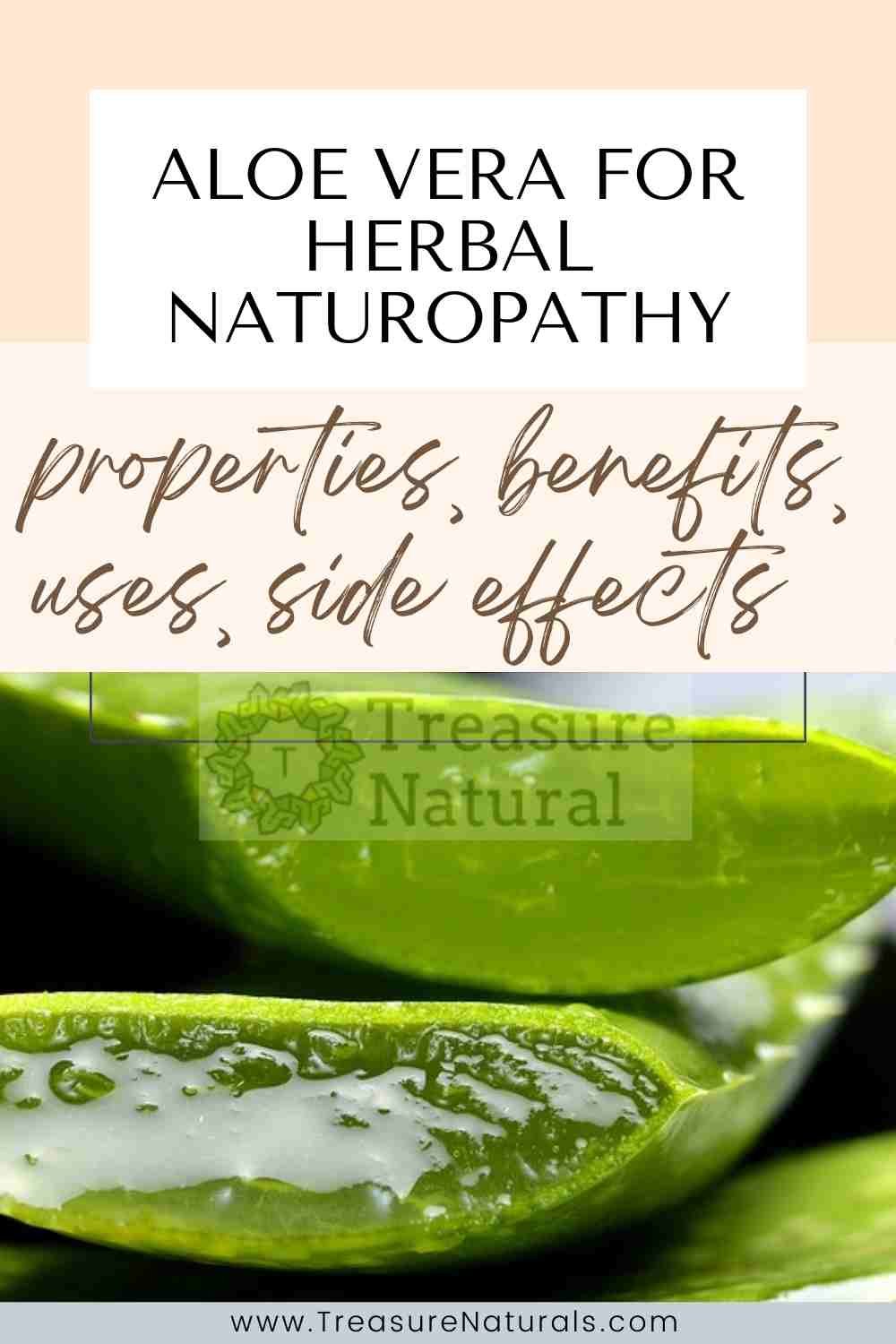 Aloe Vera for Herbal Naturopathy properties, benefits, uses, side effects TreasureNatural