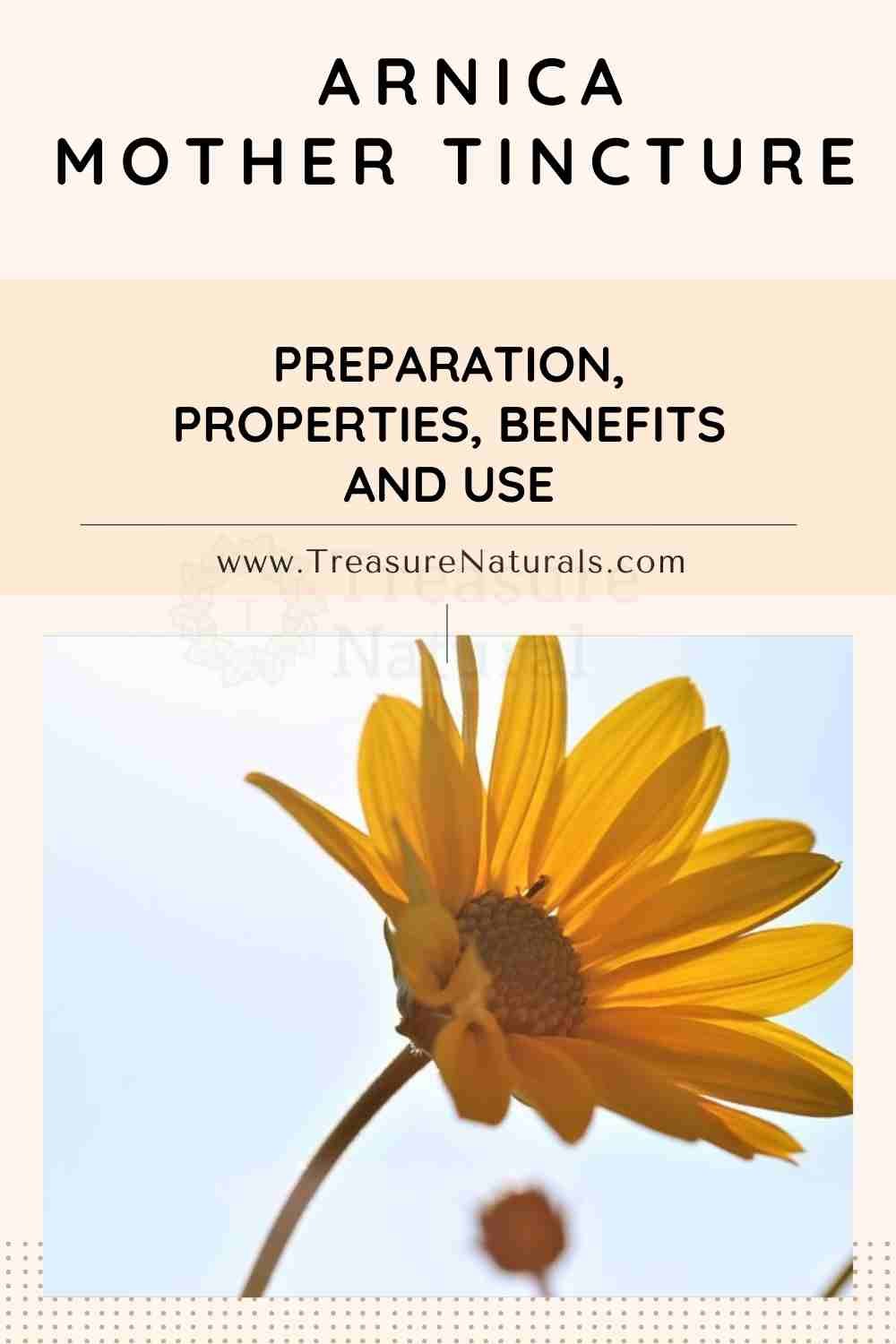 Arnica mother tincture preparation, properties, benefits and use