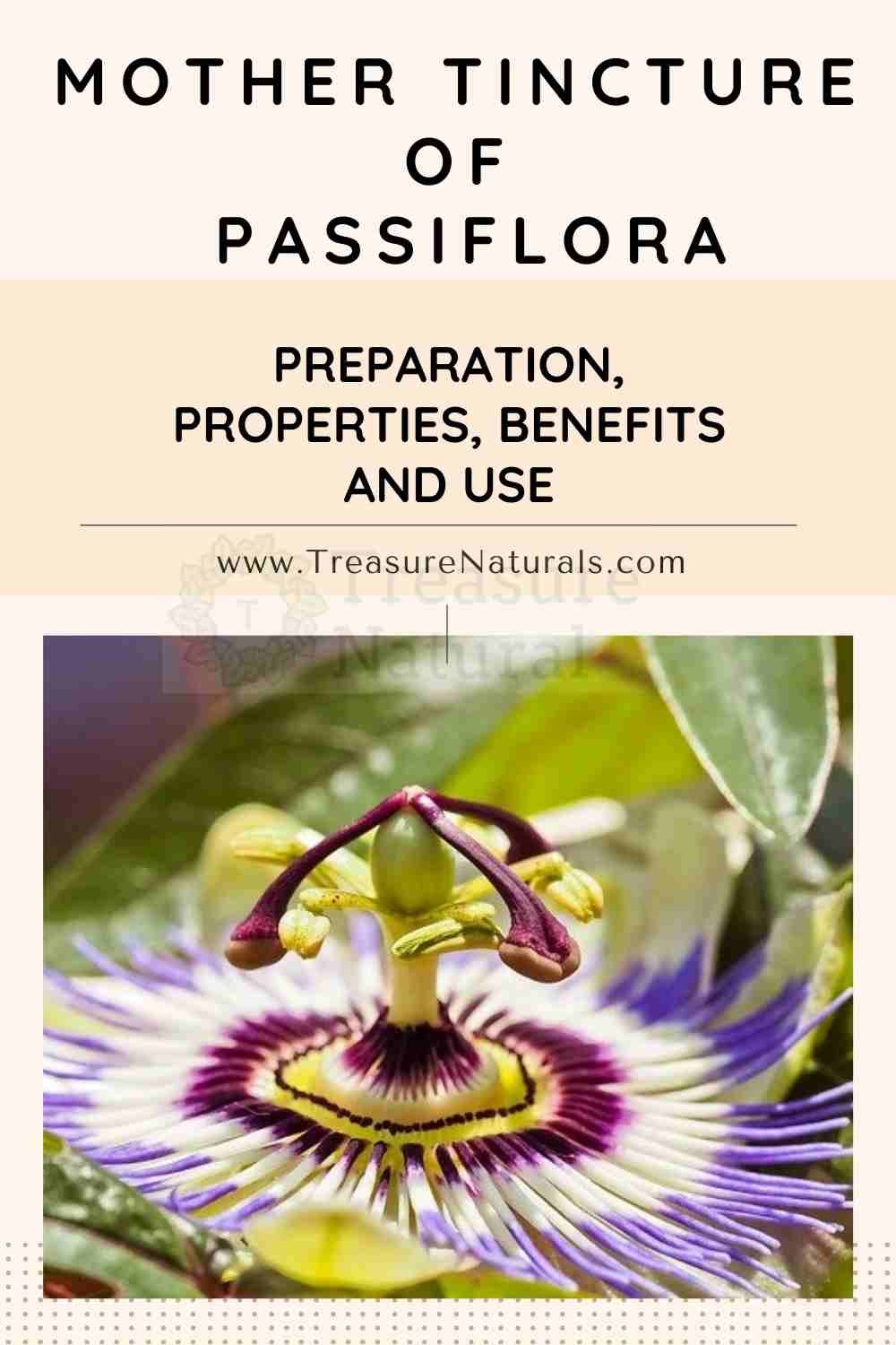Mother tincture of Passiflora preparation, properties, benefits and