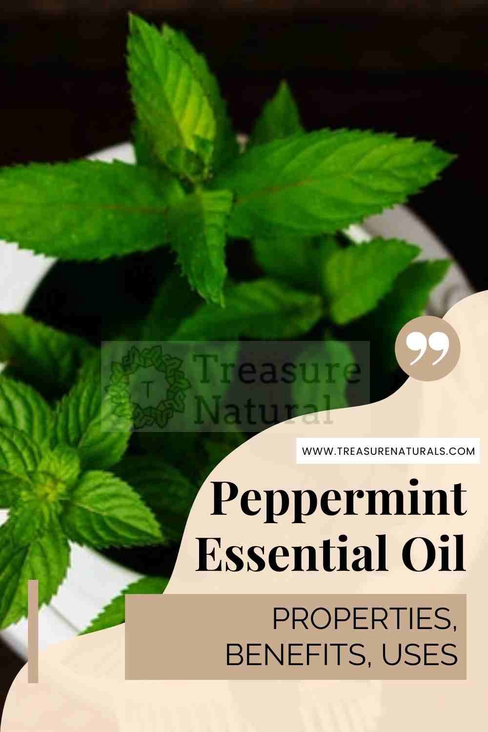 Peppermint Essential Oil properties, benefits, uses TreasureNatural