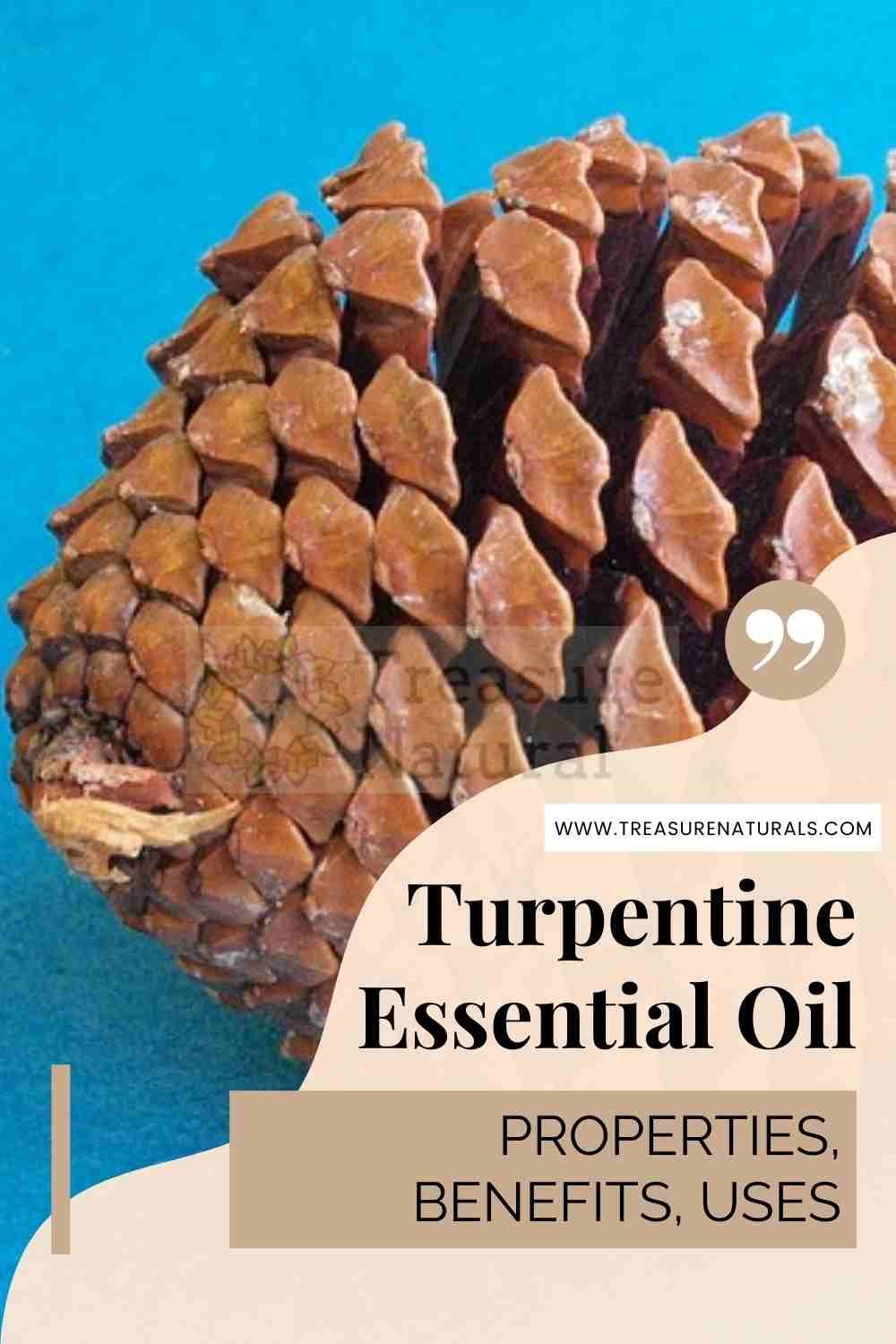 Turpentine Essential Oil properties, benefits, uses TreasureNatural