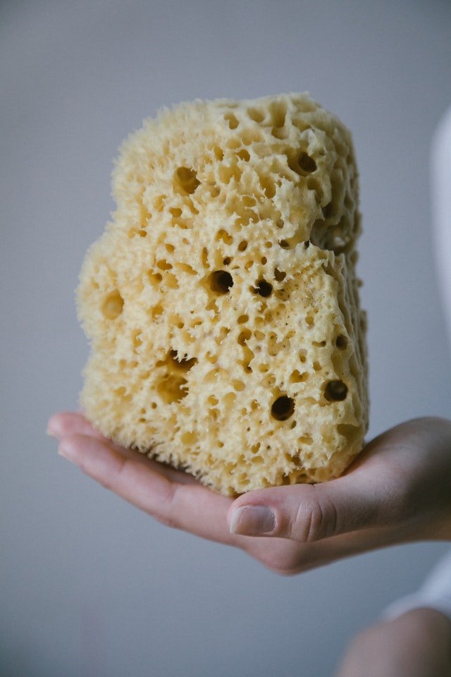 loofah in homeopathy properties, benefits and uses (all you need to