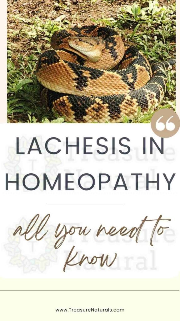 Lachesis in homeopathy (all you need to know)