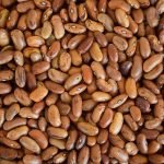 Beans: nutritional properties, benefits