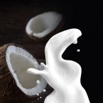 Coconut milk, an exotic drink rich in benefits: here are properties and recipe for making it at home