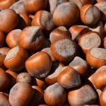 Hazelnuts: properties, benefits, and tips for consuming them at their best