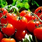 Tomatoes: properties and benefits