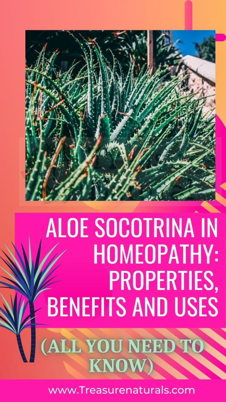 Aloe Socotrina in homeopathy properties, benefits and uses (all you