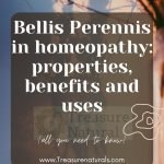 Bellis Perennis in homeopathy: properties, benefits and uses (all you need to know)