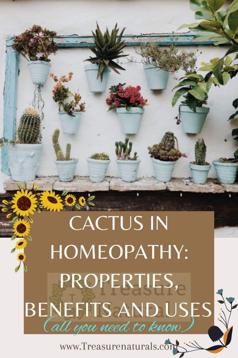 Cactus in homeopathy properties, benefits and uses (all you need to