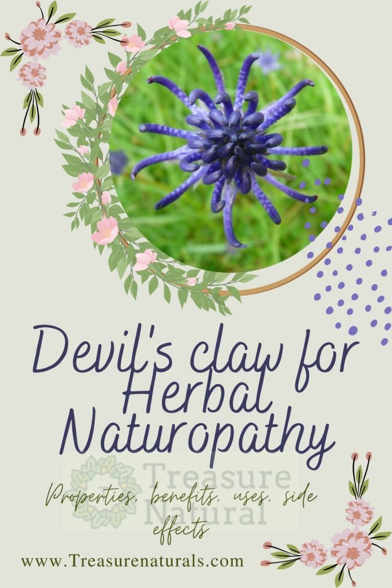 Devil's claw for Herbal Naturopathy: properties, benefits, uses, side ...