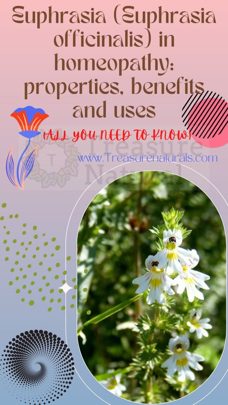 Euphrasia (Euphrasia officinalis) in homeopathy: properties, benefits ...