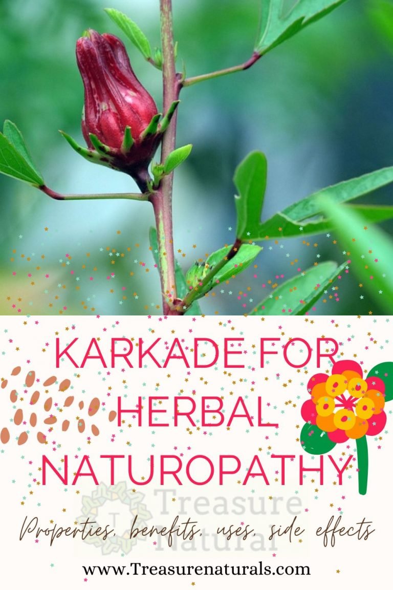 Karkade for Herbal Naturopathy: properties, benefits, uses, side ...