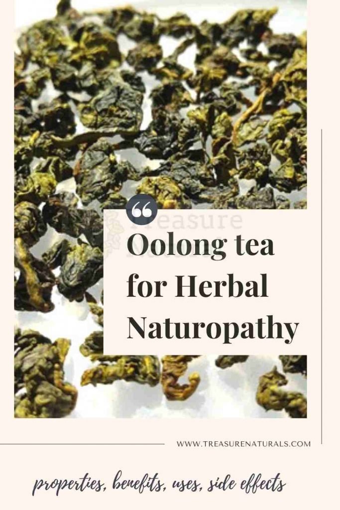 Oolong tea for Herbal Naturopathy properties, benefits, uses, side