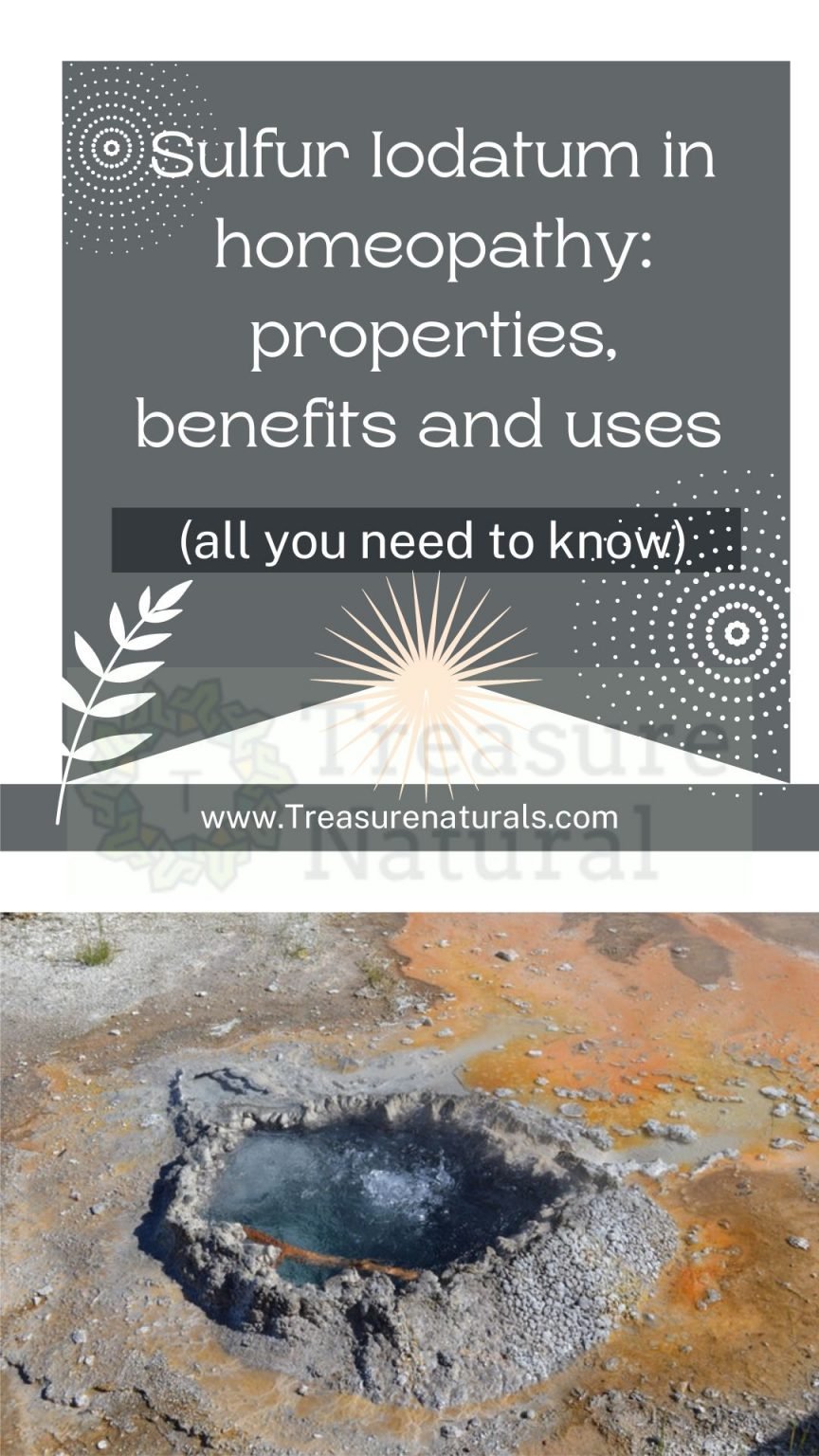 Sulfur Iodatum in homeopathy properties, benefits and uses (all you