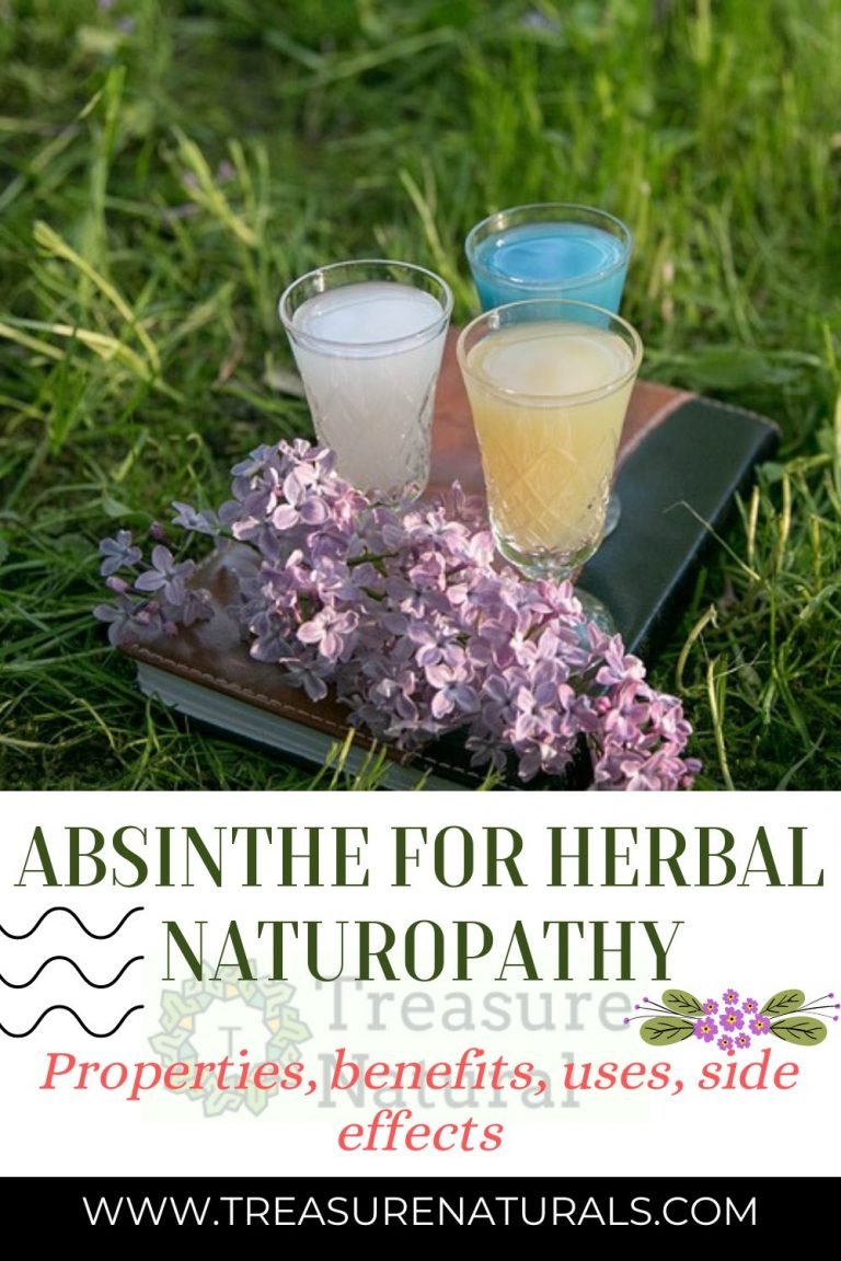 Absinthe for Herbal Naturopathy properties, benefits, uses, side