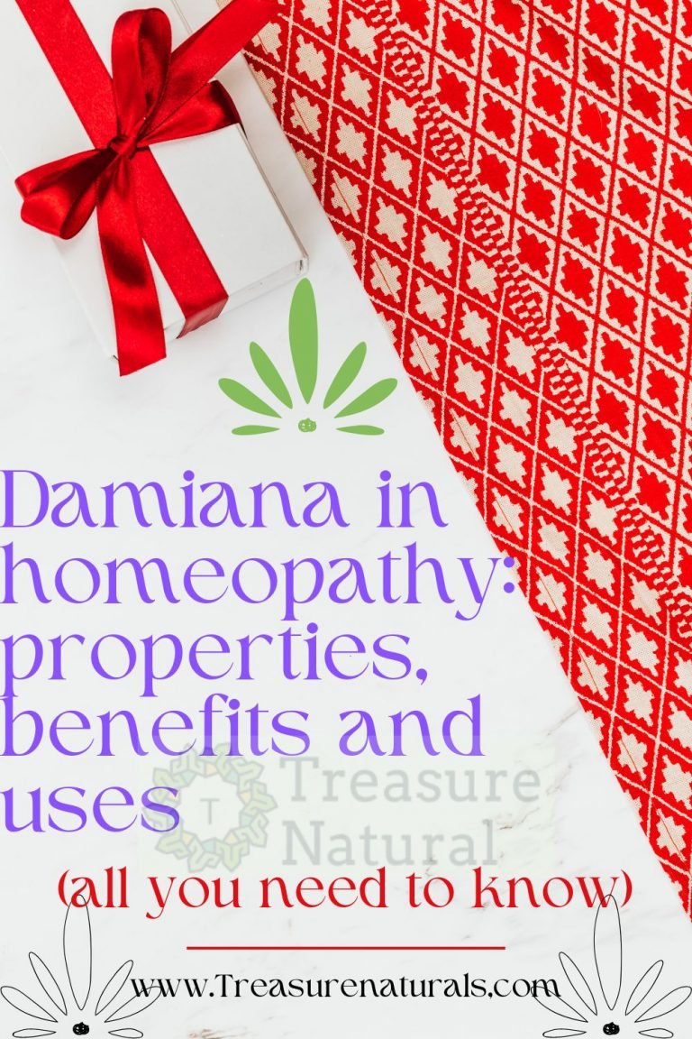 Damiana In Homeopathy Properties Benefits And Uses All You Need To Know Treasurenatural 