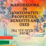 Mandragora in homeopathy: properties, benefits and uses (all you need to know)