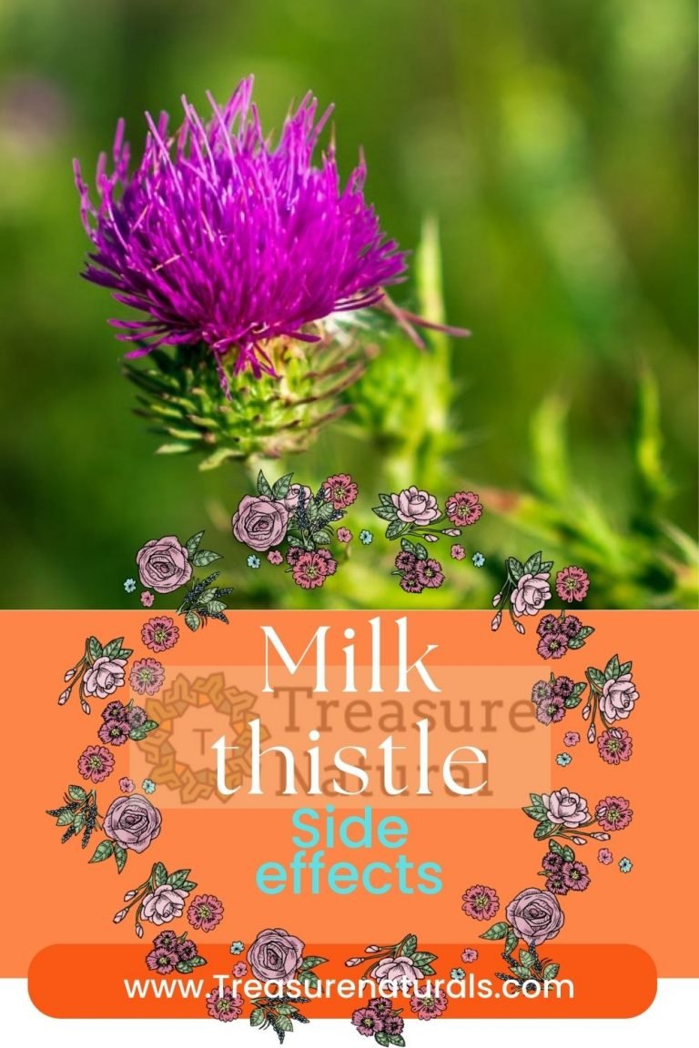 Milk thistle side effects TreasureNatural