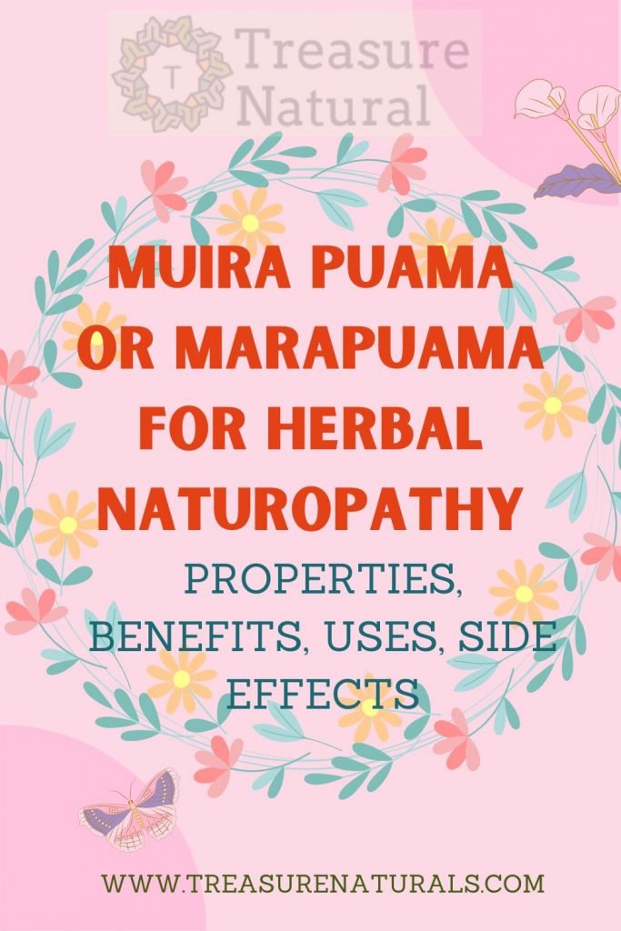 Muira Puama or Marapuama for Herbal Naturopathy properties, benefits