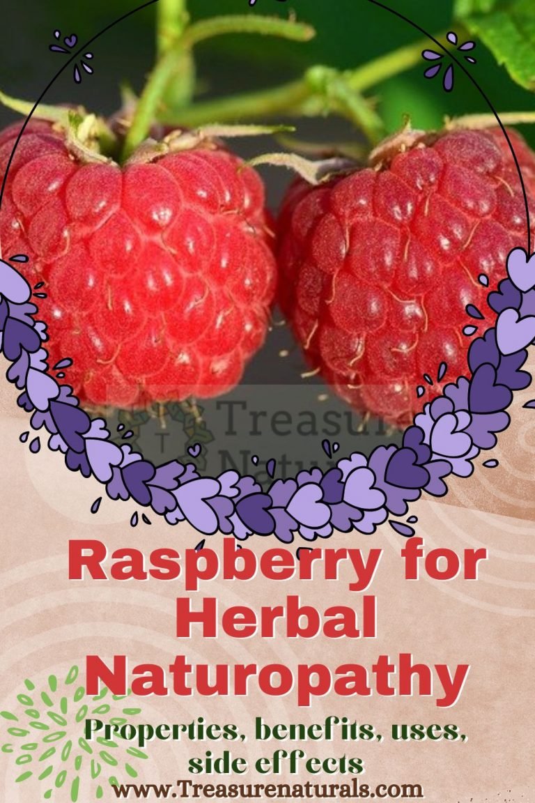 Raspberry for Herbal Naturopathy properties, benefits, uses, side