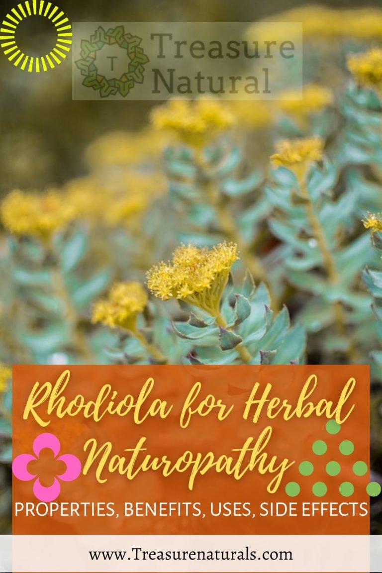 Rhodiola for Herbal Naturopathy: properties, benefits, uses, side ...