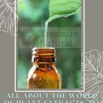All about the world of plant extracts, to better understand cosmetics and herbal preparations