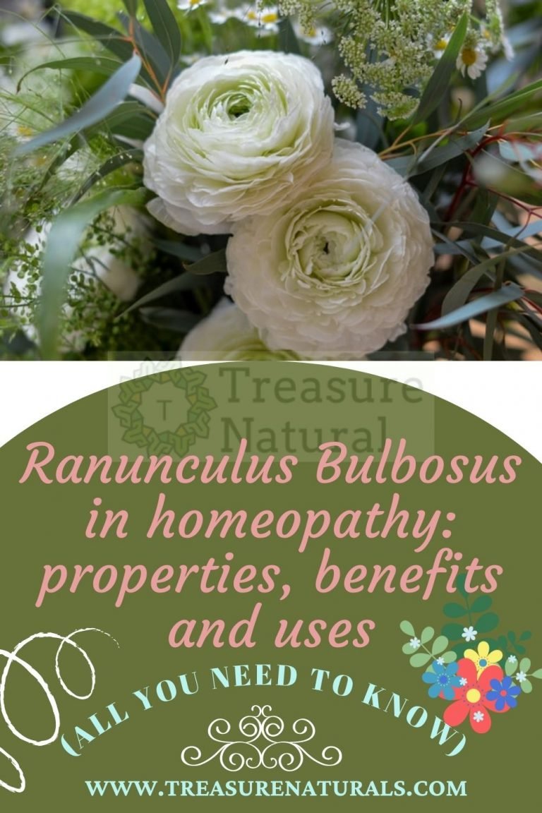 Ranunculus Bulbosus In Homeopathy: Properties, Benefits And Uses (all ...