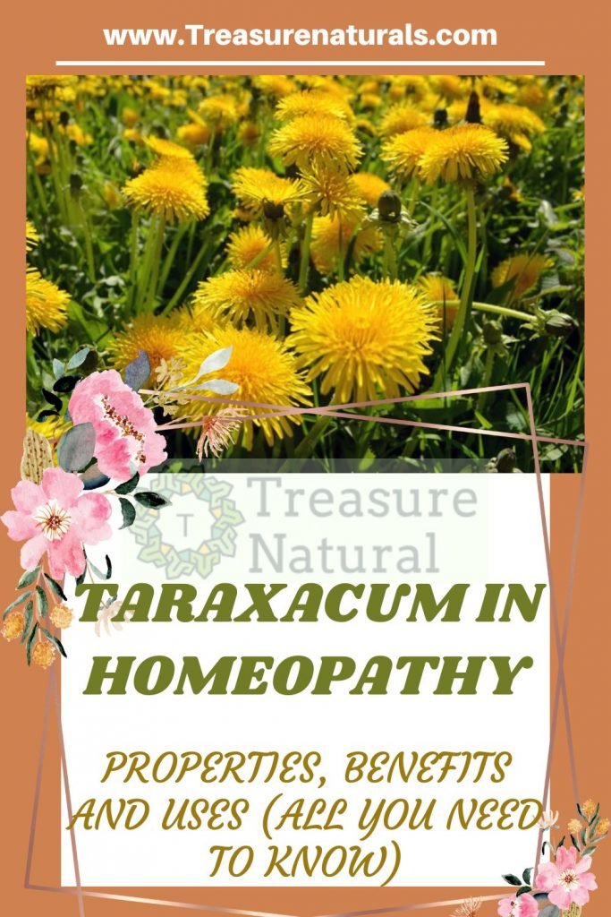 Taraxacum Homeopathy Uses In Hindi